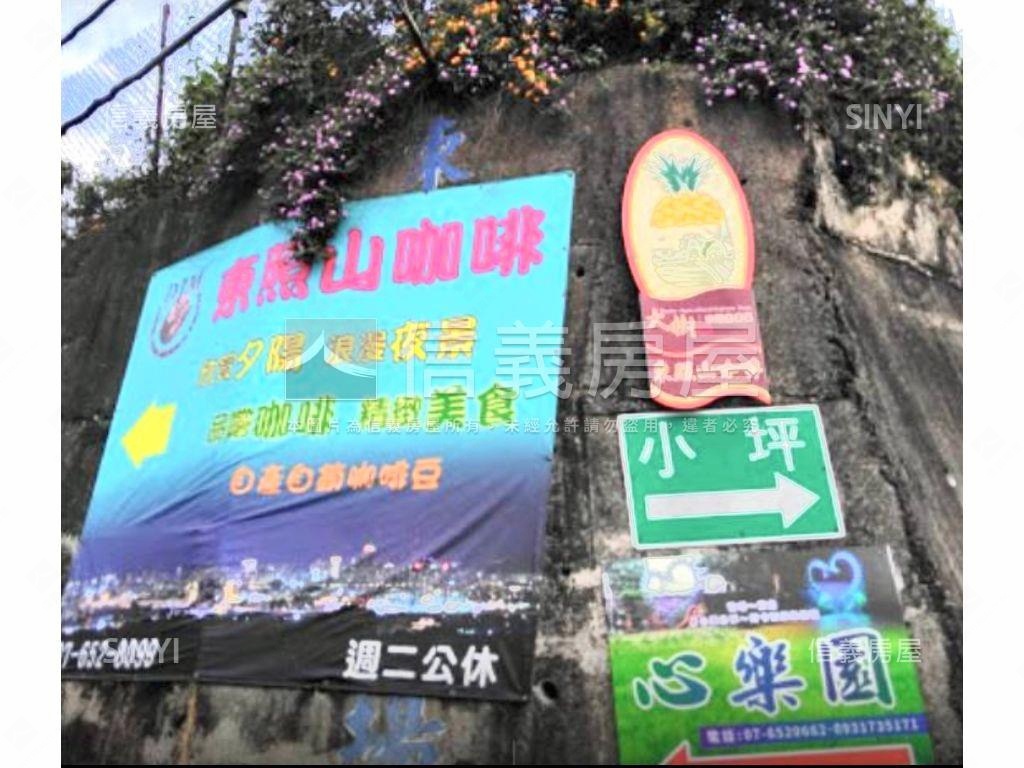 大樹區東照山景觀農地房屋室內格局與周邊環境