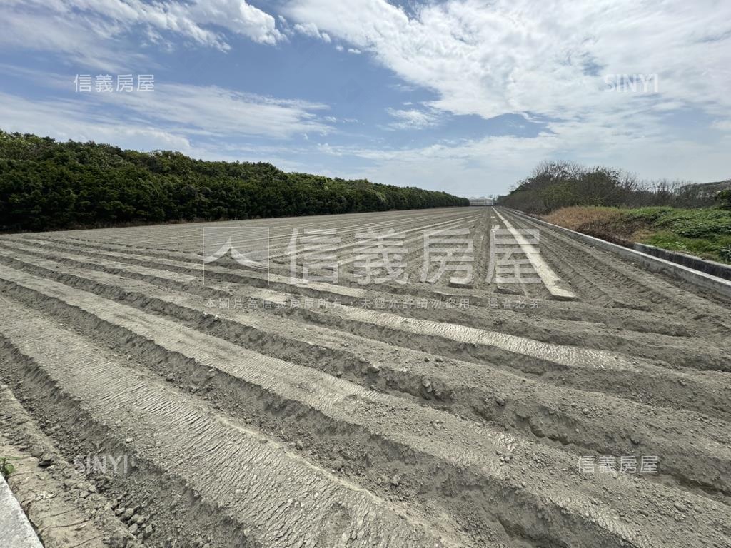 專任雲林褒忠千坪農地房屋室內格局與周邊環境