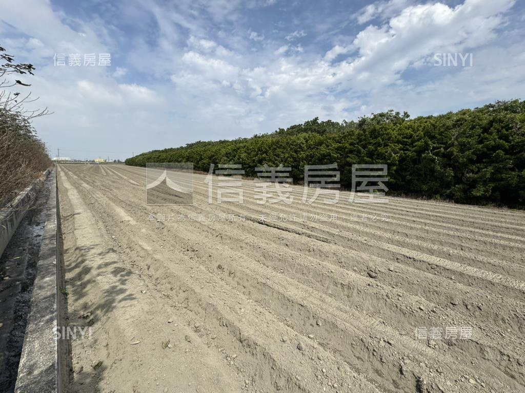 專任雲林褒忠千坪農地房屋室內格局與周邊環境
