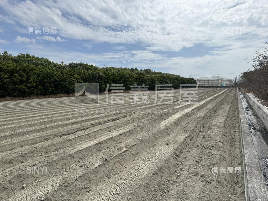 專任雲林褒忠千坪農地房屋室內格局與周邊環境