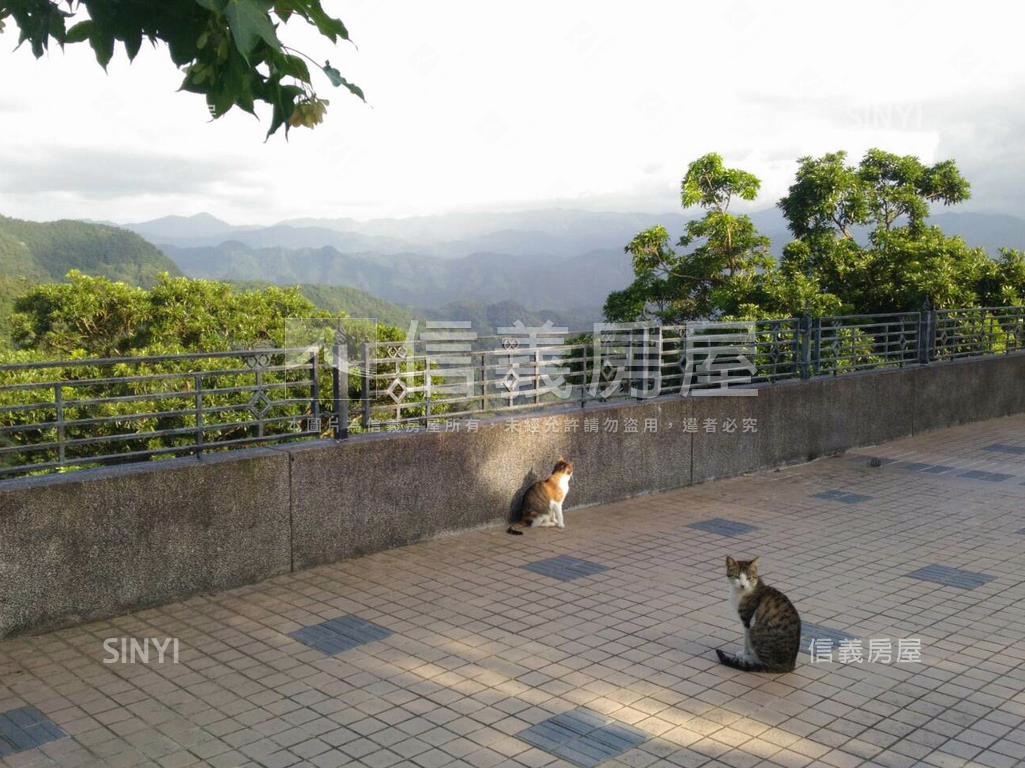 石碇雲海大境景觀莊園房屋室內格局與周邊環境