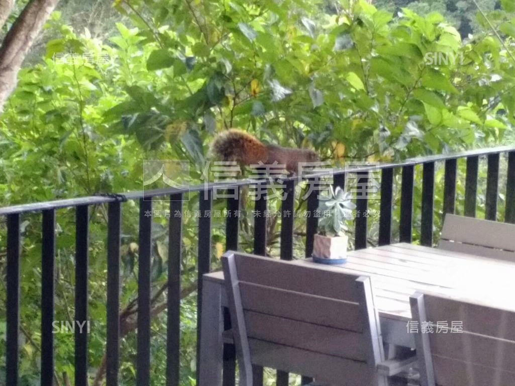 石碇雲海大境景觀莊園房屋室內格局與周邊環境