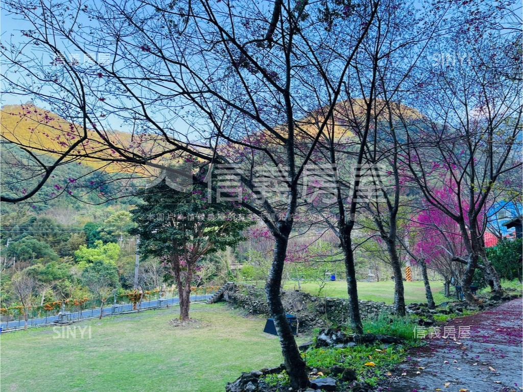 已規劃好尖石鄉露營美地房屋室內格局與周邊環境