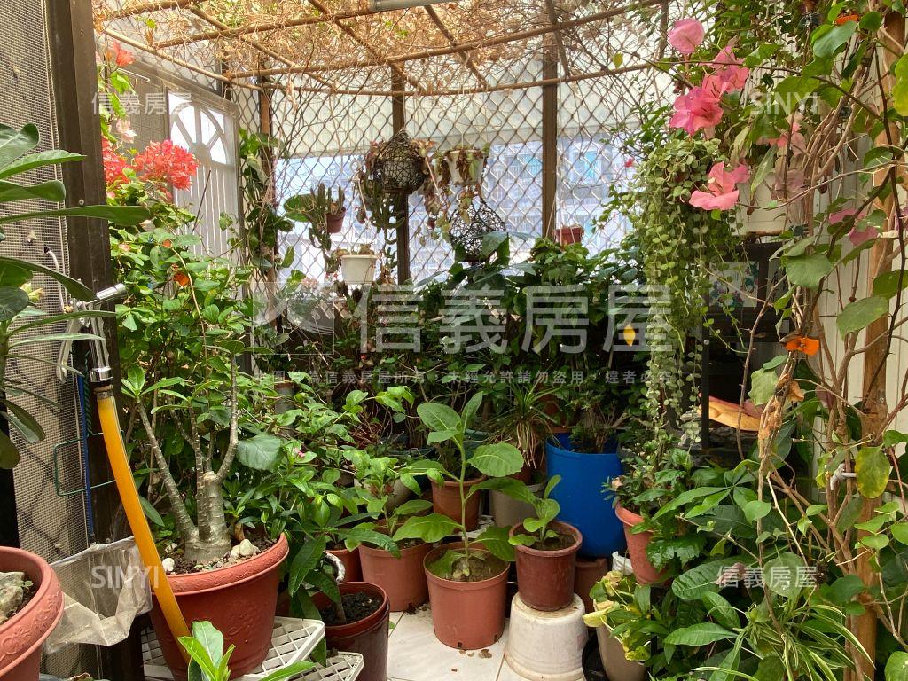 金城國中旁☀️陽光城堡房屋室內格局與周邊環境