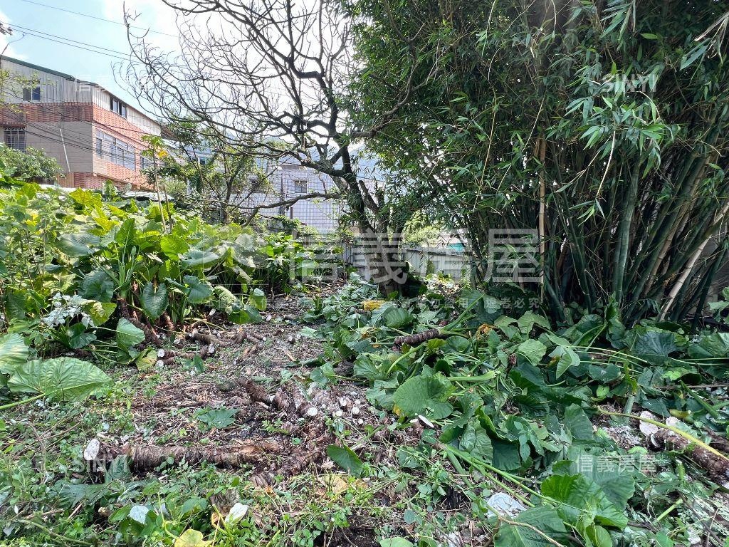 三芝楓愛林臨路丙建用地房屋室內格局與周邊環境