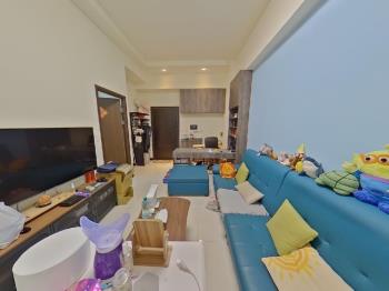 稀有！南屯樹梢戶附平車