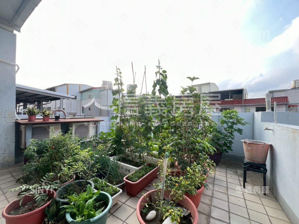 大埔地點佳清悠美墅房屋室內格局與周邊環境