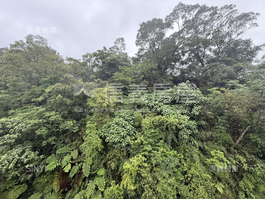 玫瑰中國城。大空間房屋室內格局與周邊環境