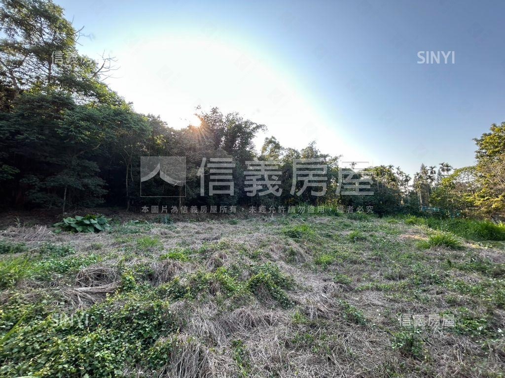 草屯農地屋主惜售出價談房屋室內格局與周邊環境