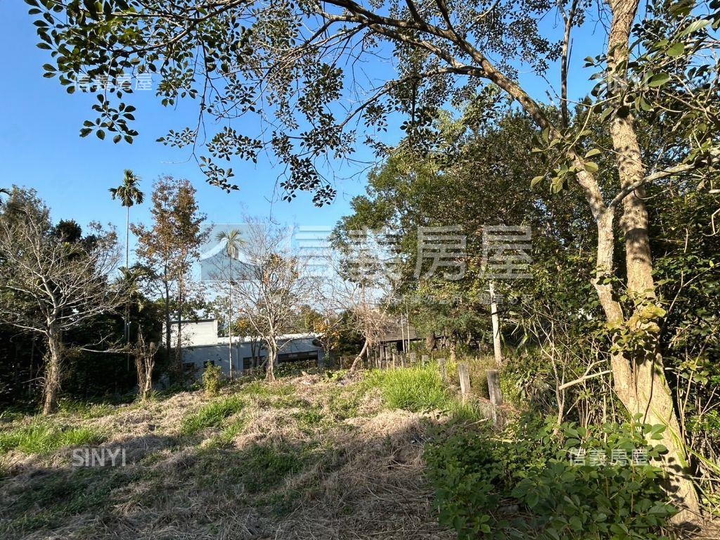 草屯農地屋主惜售出價談房屋室內格局與周邊環境