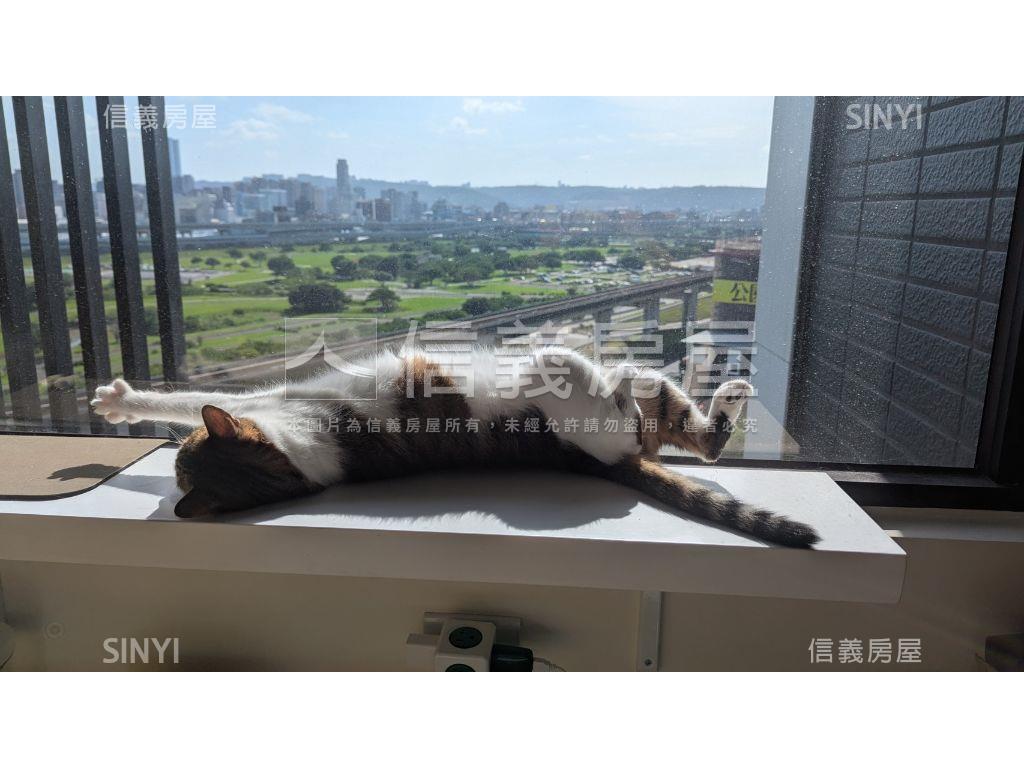 【新案】亞昕淳白公園景觀房屋室內格局與周邊環境