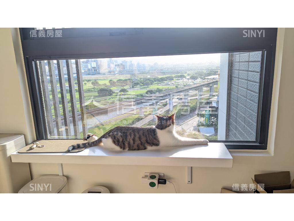 【新案】亞昕淳白公園景觀房屋室內格局與周邊環境