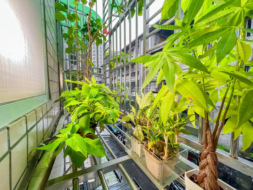 聚寶裝潢三房面寬採光房屋室內格局與周邊環境