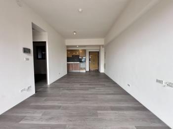 近洲際美三房平車