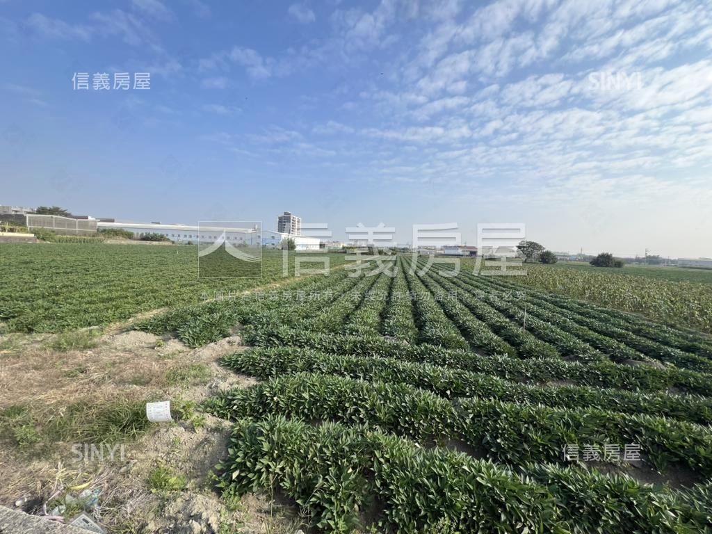 新化方正大坪農地房屋室內格局與周邊環境