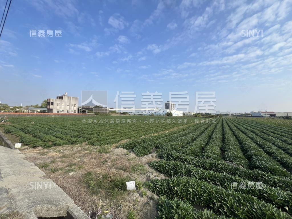 新化方正大坪農地房屋室內格局與周邊環境