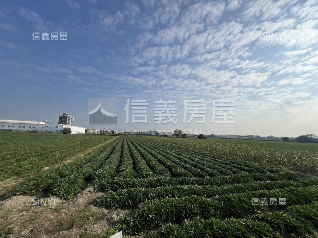 新化方正大坪農地房屋室內格局與周邊環境