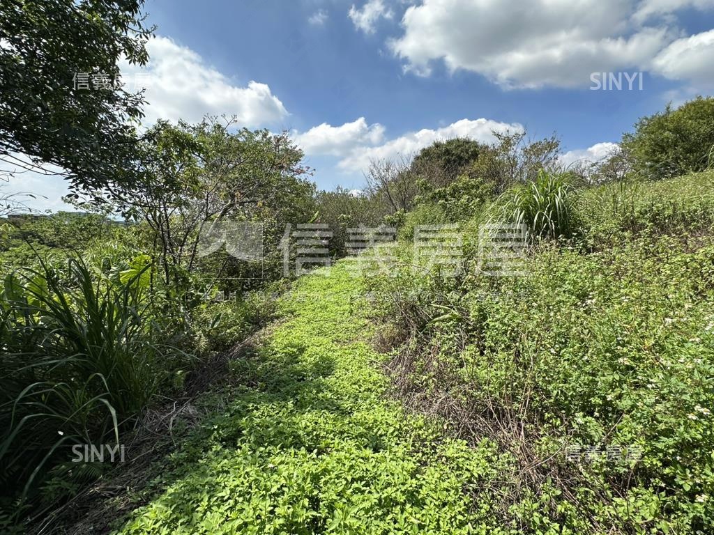 陽明山３５６８坪平坦土地房屋室內格局與周邊環境