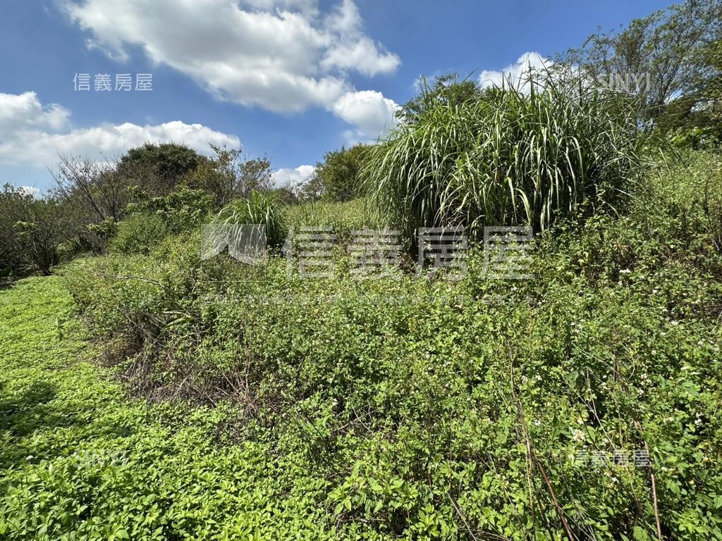 陽明山３５６８坪平坦土地房屋室內格局與周邊環境