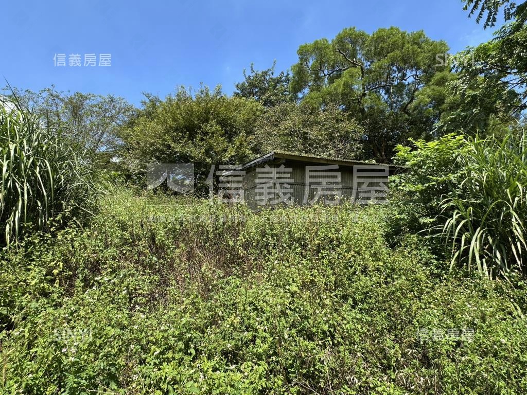 陽明山３５６８坪平坦土地房屋室內格局與周邊環境