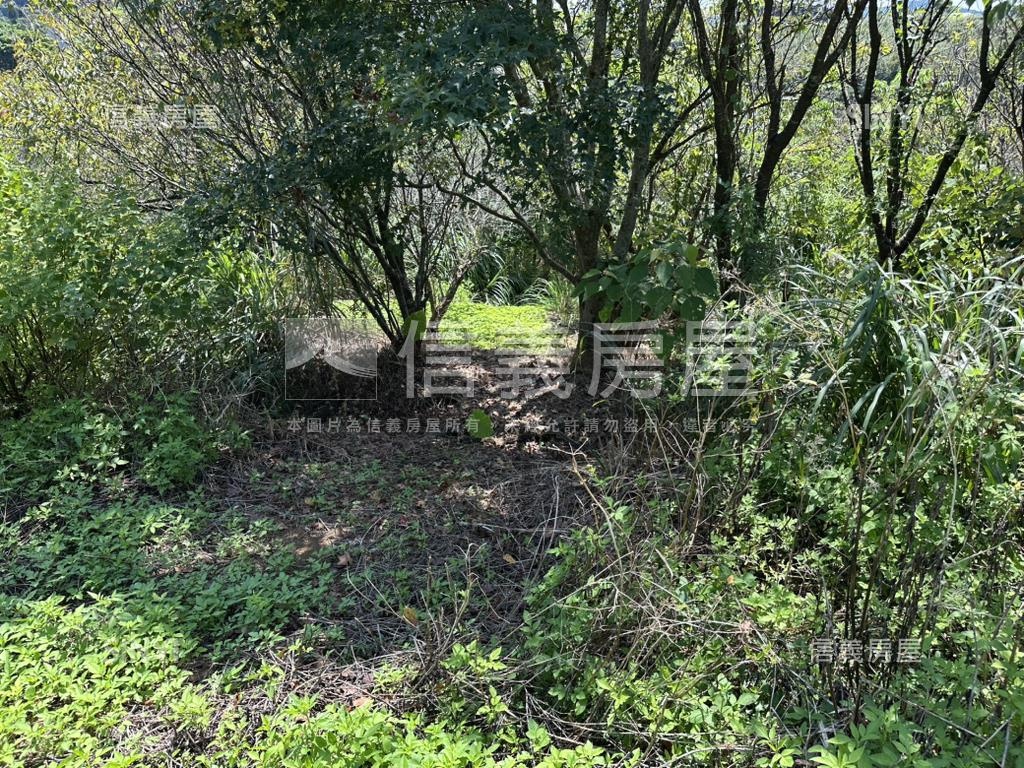 陽明山３５６８坪平坦土地房屋室內格局與周邊環境