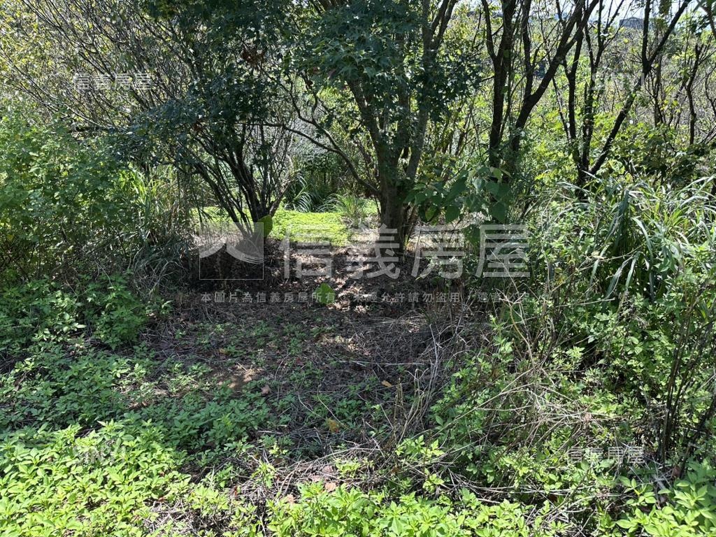 陽明山３５６８坪平坦土地房屋室內格局與周邊環境