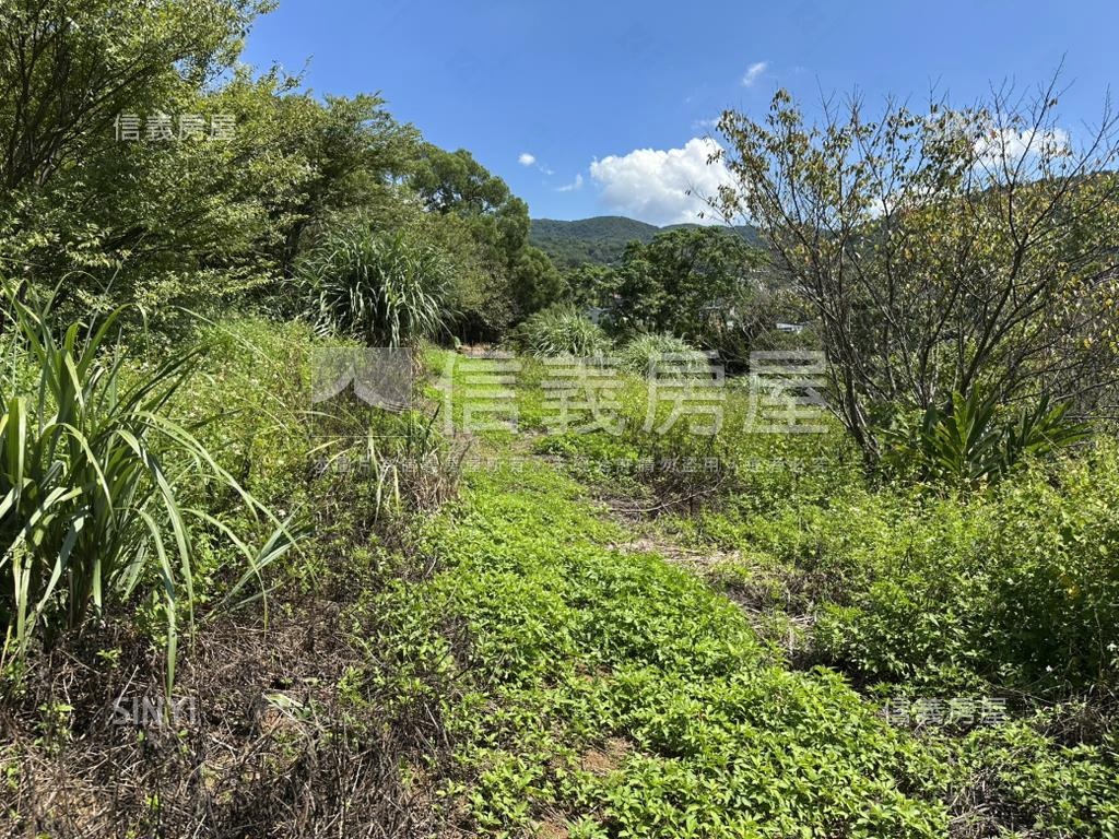 陽明山３５６８坪平坦土地房屋室內格局與周邊環境