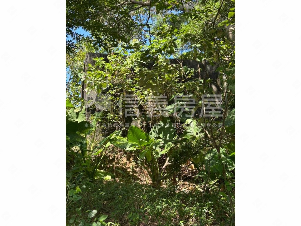 陽明山３５６８坪平坦土地房屋室內格局與周邊環境