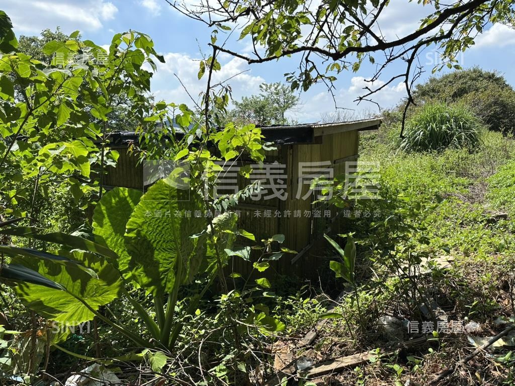 陽明山３５６８坪平坦土地房屋室內格局與周邊環境