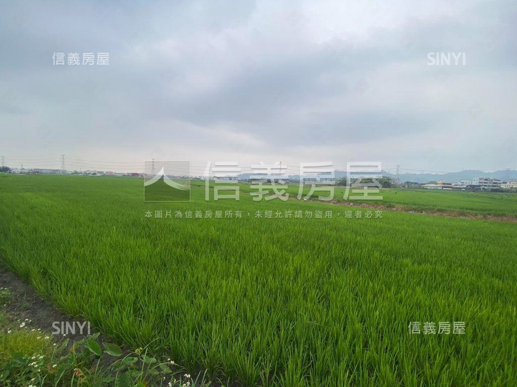 光明西路旁農地房屋室內格局與周邊環境