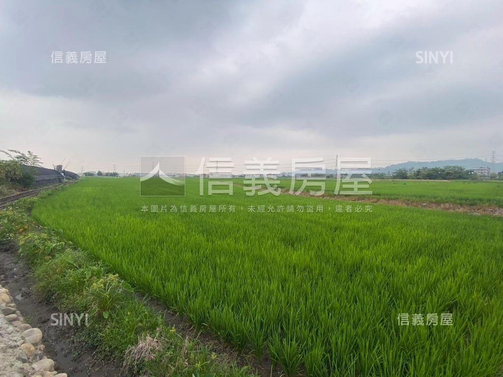 光明西路旁農地房屋室內格局與周邊環境