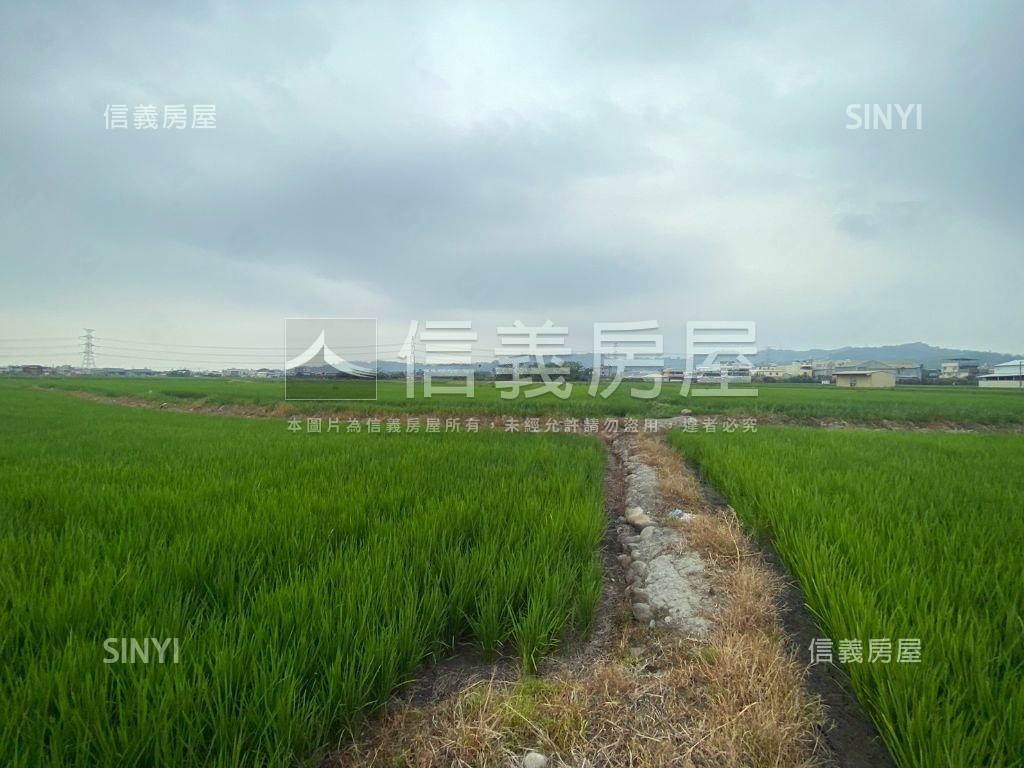 光明西路旁農地房屋室內格局與周邊環境