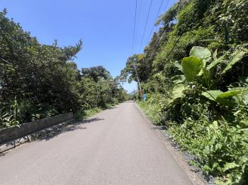新安段土地