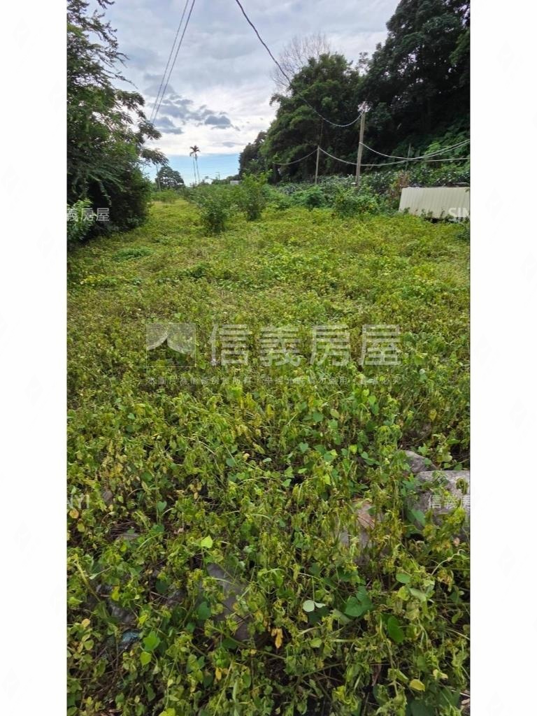 東勢土地６３７－３房屋室內格局與周邊環境