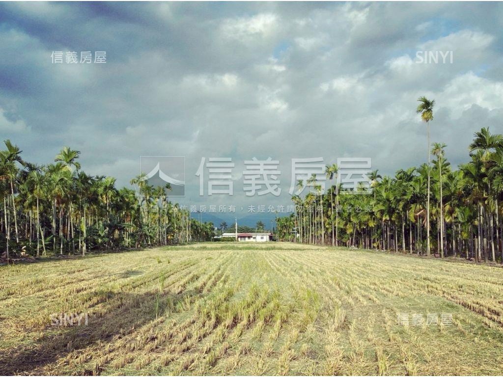 南州優渥耕植土地１房屋室內格局與周邊環境