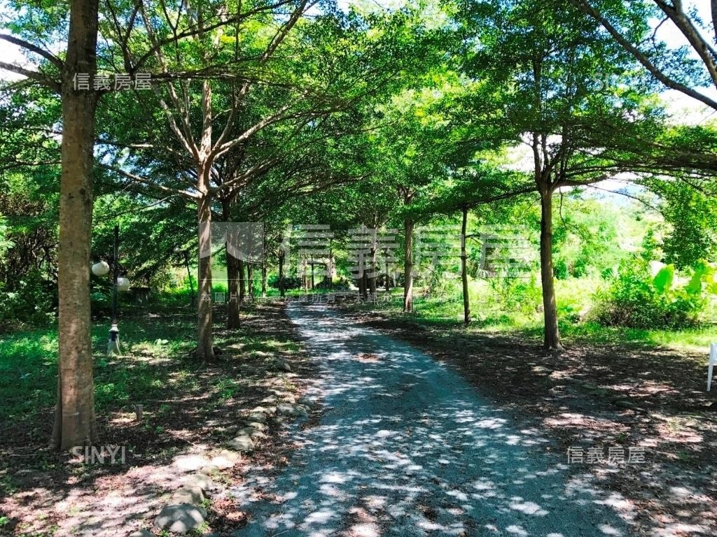 鳳林清幽方正土地２房屋室內格局與周邊環境