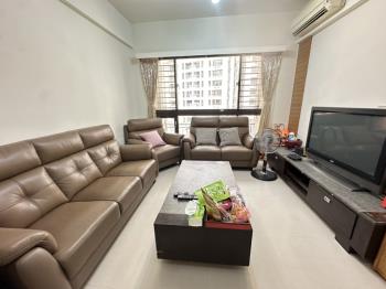 馬到成功三房平面車位