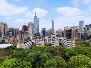 【新接】計劃區公園帝景