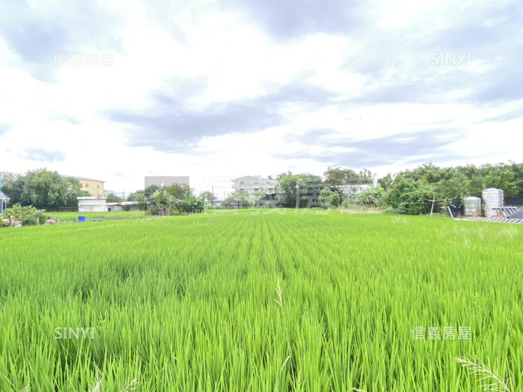 中市農地假日農夫．有水電房屋室內格局與周邊環境