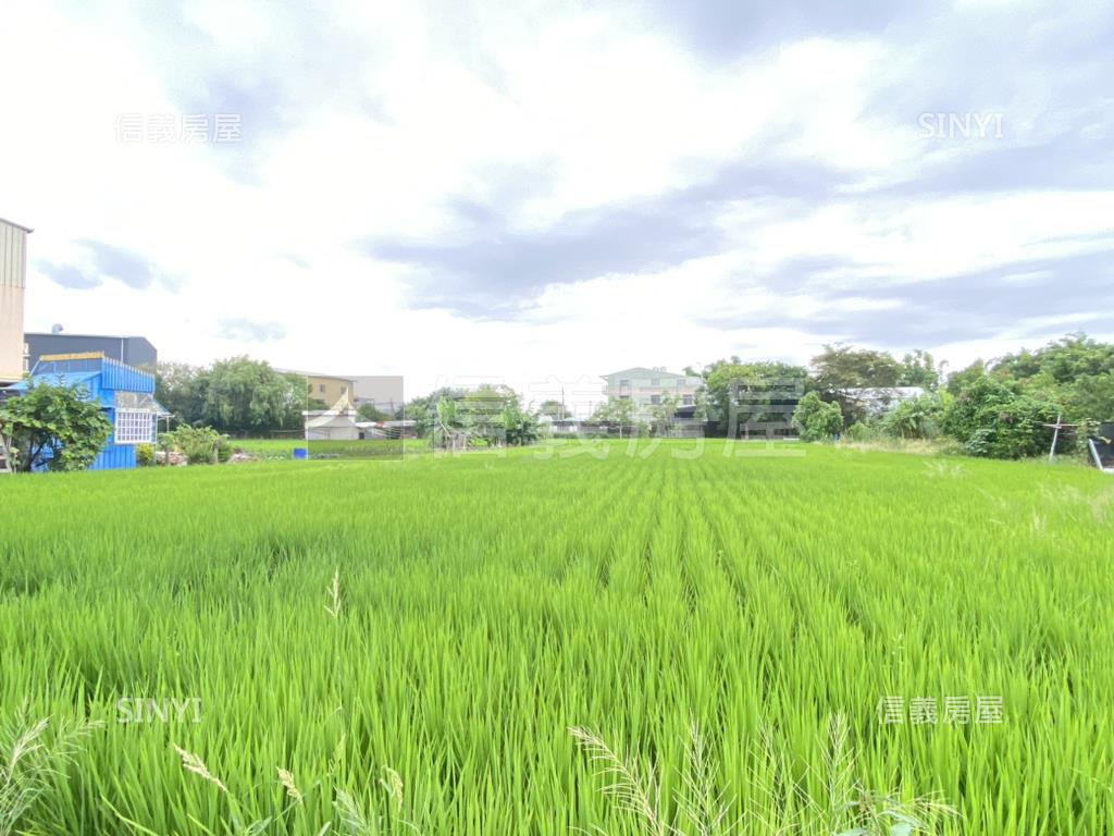 中市農地假日農夫．有水電房屋室內格局與周邊環境