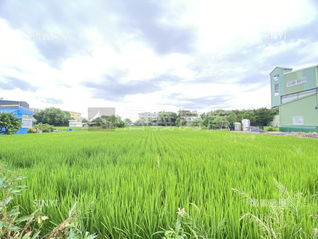 中市農地假日農夫．有水電房屋室內格局與周邊環境