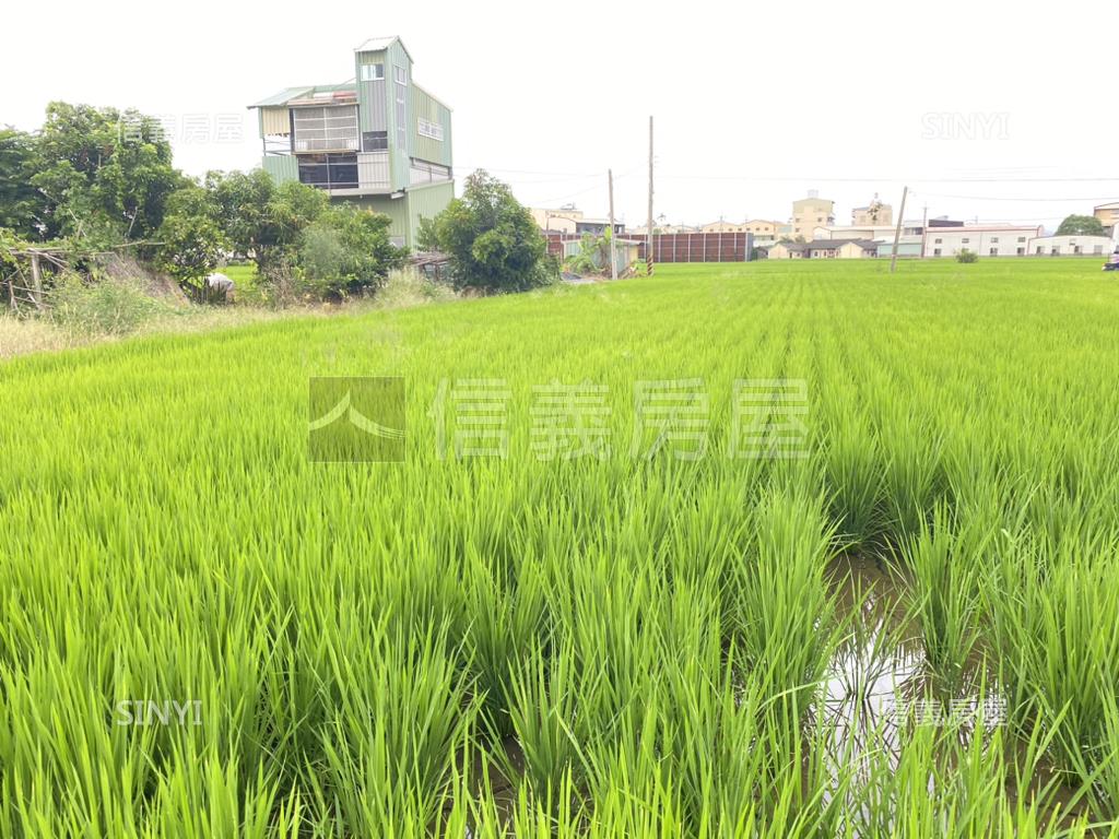 中市農地假日農夫．有水電房屋室內格局與周邊環境