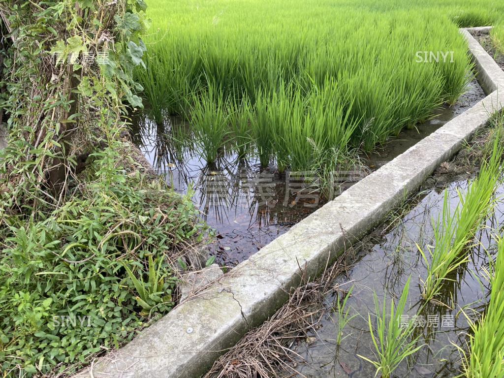 中市農地假日農夫．有水電房屋室內格局與周邊環境