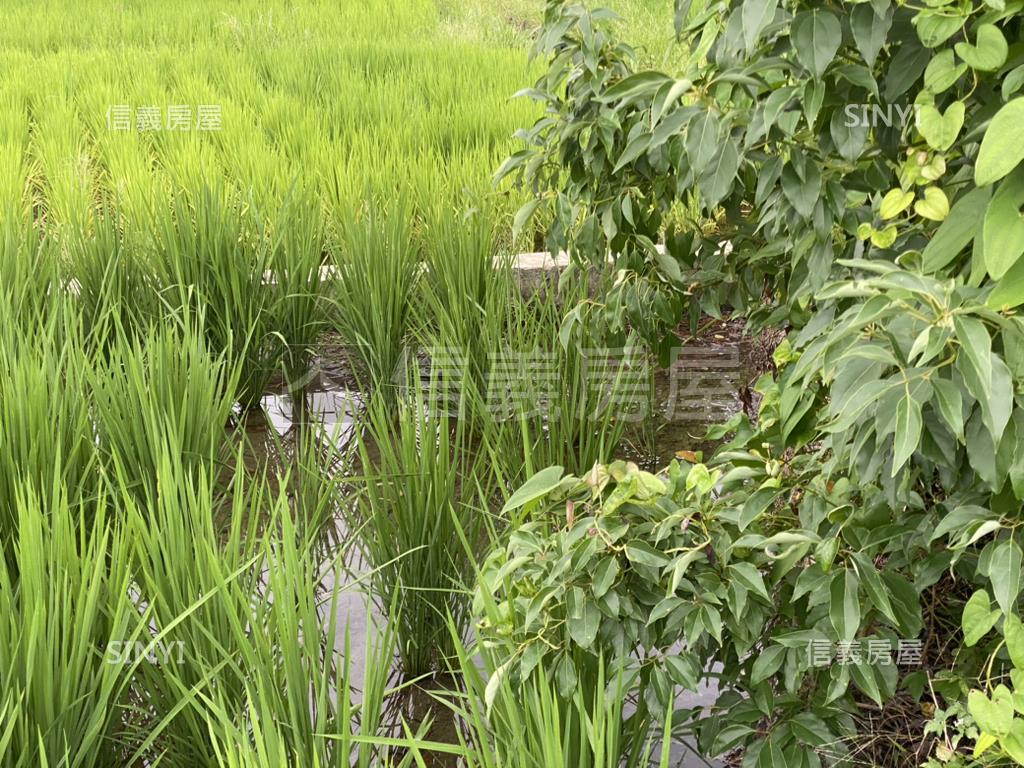 中市農地假日農夫．有水電房屋室內格局與周邊環境