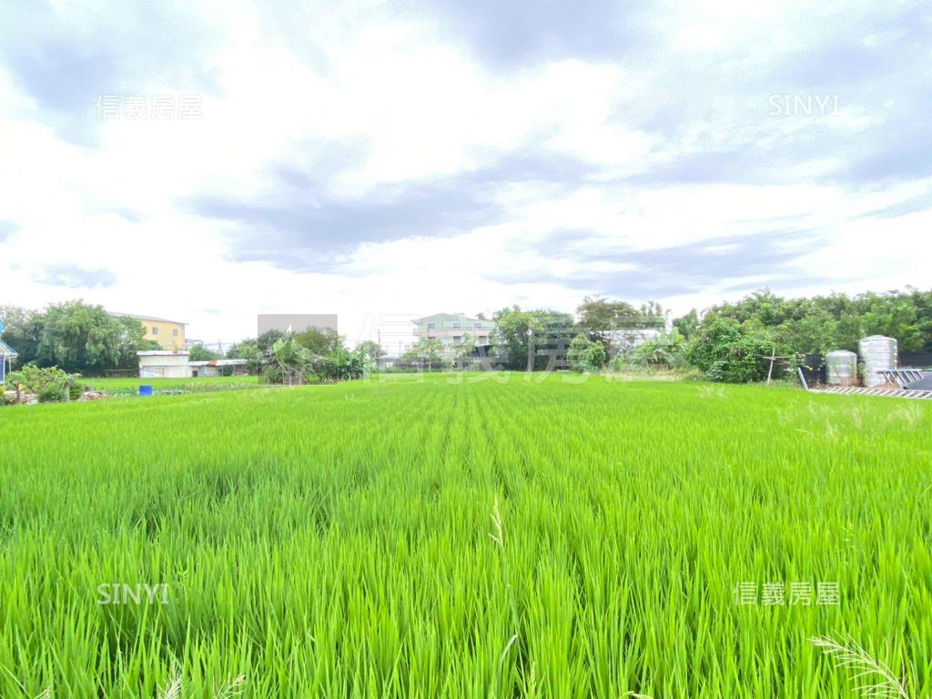 中市農地假日農夫．有水電房屋室內格局與周邊環境