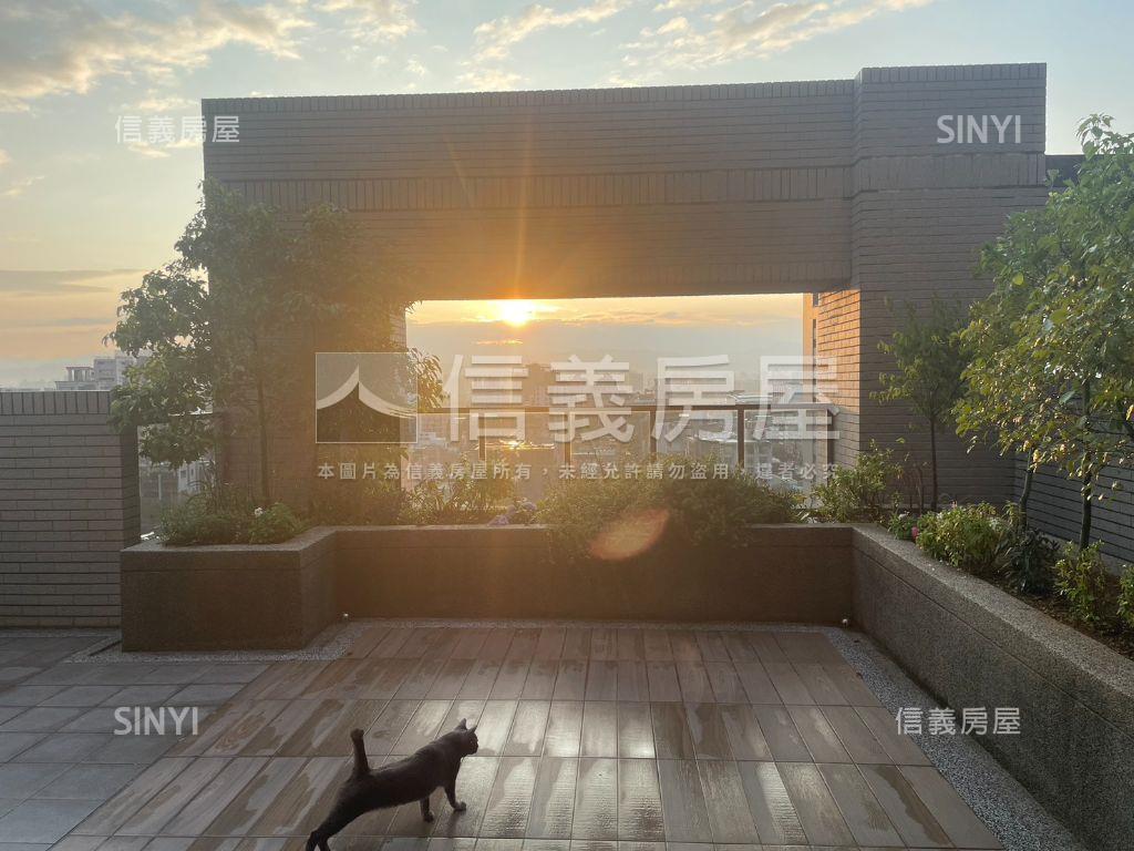 專！稀有高樓裝潢露臺戶房屋室內格局與周邊環境