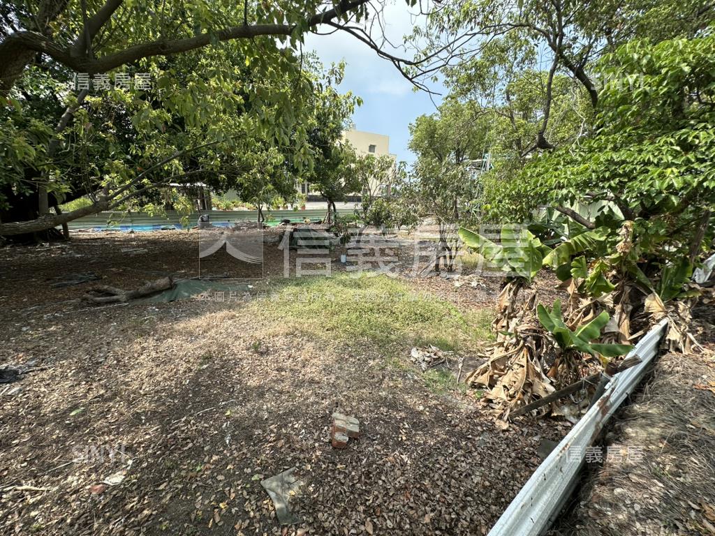 橋頭開心農場一典九分房屋室內格局與周邊環境