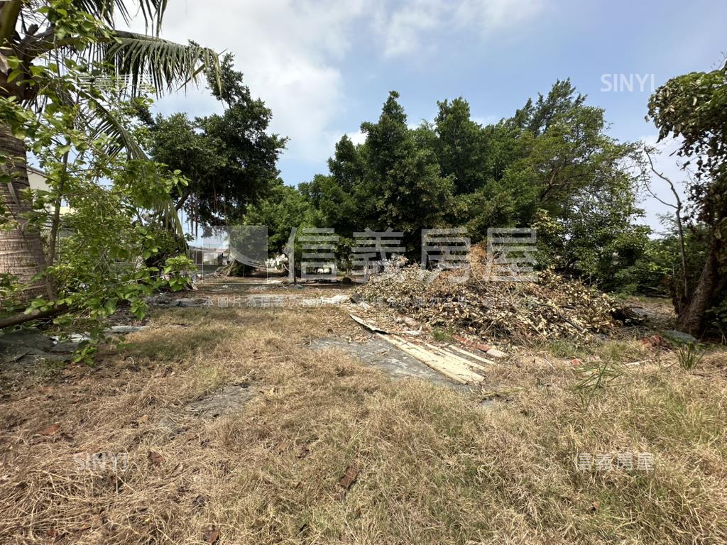 橋頭開心農場一典九分房屋室內格局與周邊環境