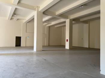 龜山近省道全新挑高廠房１