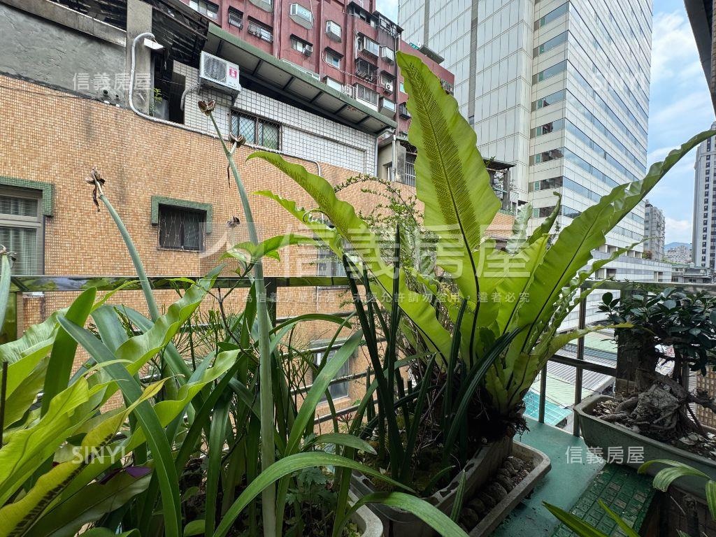 龍門實小旁土地持份大公寓房屋室內格局與周邊環境